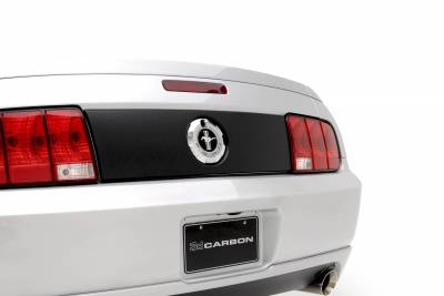 3dCarbon - Ford Mustang 3dCarbon Taillight Blackout Panel - 691020 - Image 2