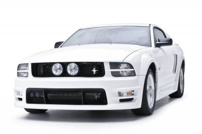 3dCarbon - Ford Mustang 3dCarbon E-Style Grille - 691039 - Image 2