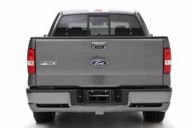 Ford F150 3dCarbon Rear Lower Skirt - 691564