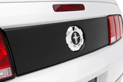 Ford Mustang 3dCarbon Taillight Blackout Panel - 691603