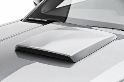 3dCarbon - Ford Mustang 3dCarbon Hood Scoop - 691608 - Image 1