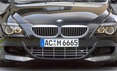 BMW M6 Front grill (Chrome)