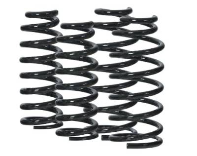 Nissan Maxima AG Suspension Lowering Springs - AGKIT144