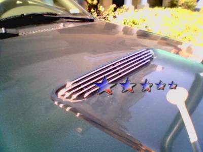 Ford Mustang APS Billet Grille - Hood Scoop Area - Scoop - Aluminum - F66011A