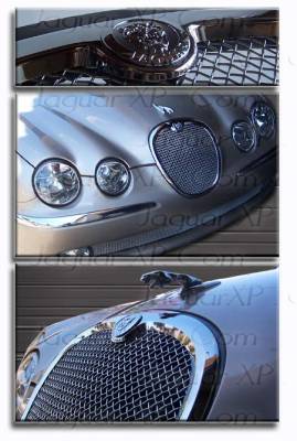 Custom - S-Type 06 Style Mesh Grille - Image 2