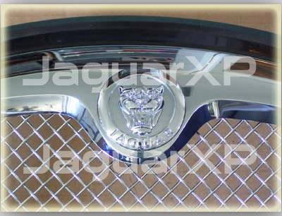 Custom - S-Type 06 Style Mesh Grille - Image 3