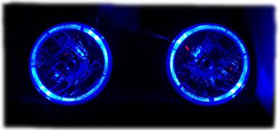 Angel Eye Euro  Headlights