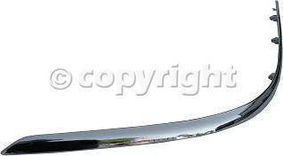 FRONT BUMPER MOLDING LH (DRIVER SIDE)