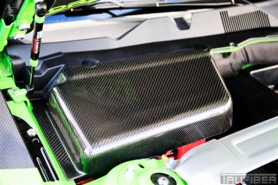 TruFiber - Ford Mustang TruFiber Carbon Fiber LG71 Battery & Master Cyclinder Cover TC010-LG71 - Image 3