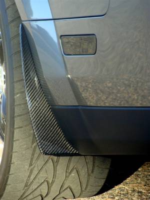 TruFiber - Ford Mustang TruFiber Carbon Fiber LG52 Splash Guard TC10024-LG52 - Image 1