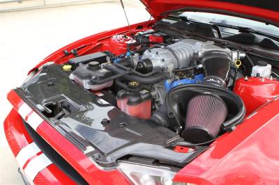 TruFiber - Ford Mustang TruFiber Carbon Fiber GT500 LG46 Radiator Cover TC10025-LG46KR - Image 2