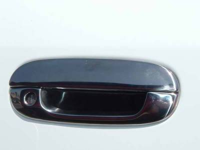 TFP Stainless Steel Door Handle Insert Accent - 494
