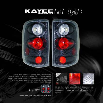 Carbon Taillights