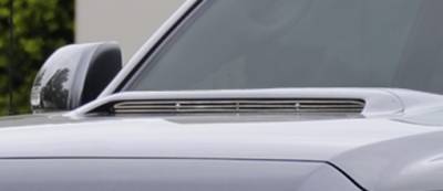 Toyota Tacoma T-Rex Billet Hood Scoop Insert - 1PC - 20939