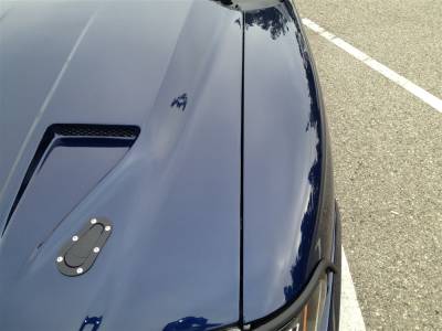 TruFiber - Ford Mustang TruFiber Mach 1 Hood TF10023-A29 - Image 3
