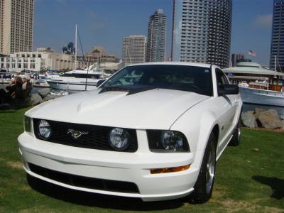 TruFiber - Ford Mustang TruFiber CJ-351 Hood TF10024-A41 - Image 3