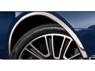 QAA - FORD MUSTANG 2dr QAA Molded Stainless 4pcs Wheel Well Fender Trim WZ50351 - Image 1