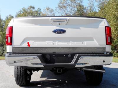 FORD F-150 2/4dr QAA Stainless 1pcs Tailgate Accent RT58308