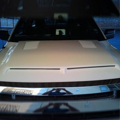 AmeriHood - Ford F-150 E-Style AmeriHood Ram Air Hood F1509AHTEFH - Image 7