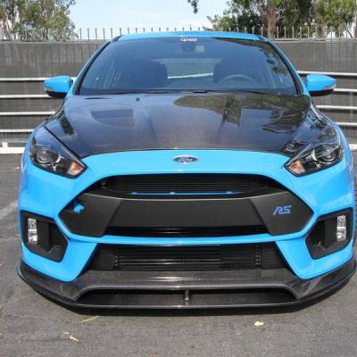 Anderson Carbon - Ford Focus RS Type-AR Anderson Composites Fiber Front Bumper Lip AC-FL16FDFO-AR - Image 2