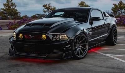 Anderson Carbon - Ford Mustang Type-TS Anderson Composites Fiber Body Kit- Hood AC-HD1011FDMU-TS - Image 7