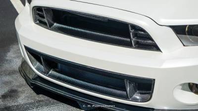 Anderson Carbon - Ford Mustang Anderson Composites Fiber Grill/Grille w/o Cobra AC-UG1213FDGT - Image 6