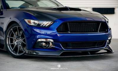 Anderson Carbon - Ford Mustang Lower Anderson Composites Fiber Grill/Grille AC-LG15FDMU - Image 8
