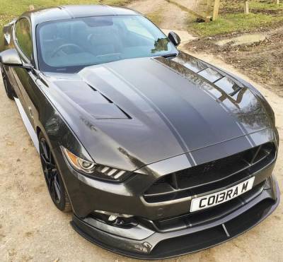 Anderson Carbon - Ford Mustang Heat Extractor Anderson Composites Fiber Hood AC-HD15FDMU-SA-DS - Image 4