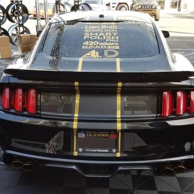 Anderson Carbon - Ford Mustang Type-AR Anderson Composites Fiber Rear Bumper Diffuser AC-RL15FDMU-ARQ - Image 4