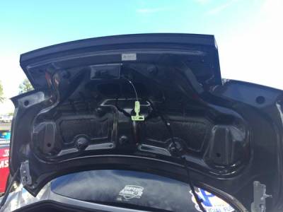 Anderson Carbon - Ford Mustang Type-OE Anderson Composites Fiber Body Kit-Wing AC-TL15FDMU-DS - Image 7