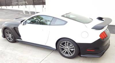 Anderson Fiberglass - Ford Mustang GT350 Anderson Composites Glass Body Kit-Wing AC-RS15FDMU-GR-GF - Image 3