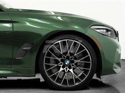 RW Carbon - BMW F87 M2/M2C Carbon Fiber Fenders bmwf8731 - Image 4
