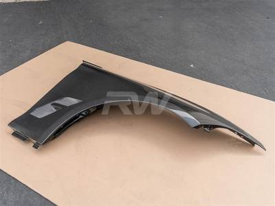 RW Carbon - BMW F87 M2/M2C Carbon Fiber Fenders bmwf8731 - Image 5