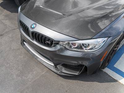RW Carbon - BMW F8X M3 M4 GTS Style CF Front Lip Spoiler bmwf8x027 - Image 2