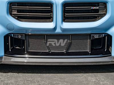 RW Carbon - BMW G87 M2 ABS Mesh Lower Grille Guard bmwg87049 - Image 2