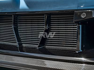 RW Carbon - BMW G87 M2 ABS Mesh Lower Grille Guard bmwg87049 - Image 3