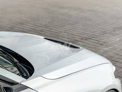 RW Carbon - BMW F87 M2 F22 F23 GTS Style Aluminum Hood bmwf8734 - Image 3