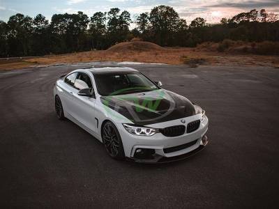 RW Carbon - BMW F30/F32 GTS Style Carbon Fiber Hood bmwf30041 - Image 3