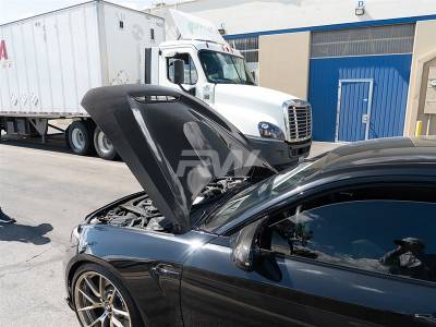 RW Carbon - BMW F20 F22 F87 M2 GTS Style Carbon Fiber Hood bmwf8722 - Image 4