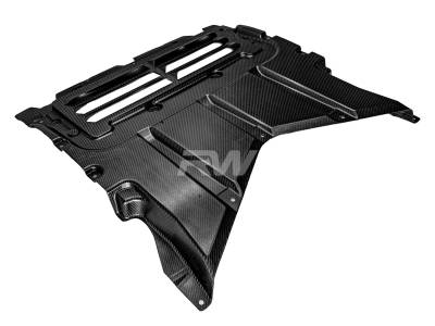 RW Carbon - BMW G90/G99 M5 Carbon Fiber Oil Cooler Guard bmwg9006 - Image 4