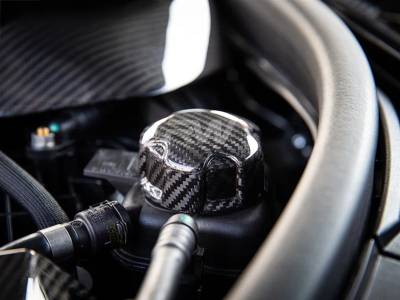 RW Carbon - BMW Carbon Fiber Charge Cooler Tank Cap Cover bmwg01019 - Image 2