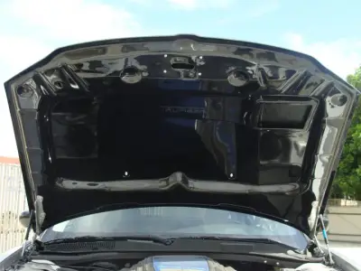 TruFiber - Dodge Magnum TruFiber Carbon Fiber SRT-8 Hood TC20220-A23 - Image 3