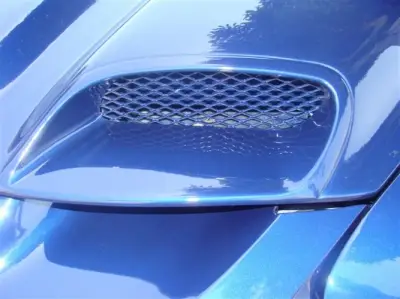 TruFiber - Pontiac Firebird TruFiber WS-9 Hood TF40021-A59 - Image 6