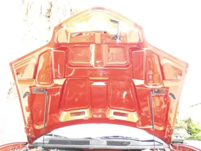 TruFiber - Pontiac Firebird TruFiber WS-9 Hood TF40021-A59 - Image 8
