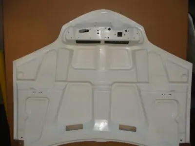 TruFiber - Pontiac Firebird TruFiber WS-6 Hood TF40021-A12 - Image 3